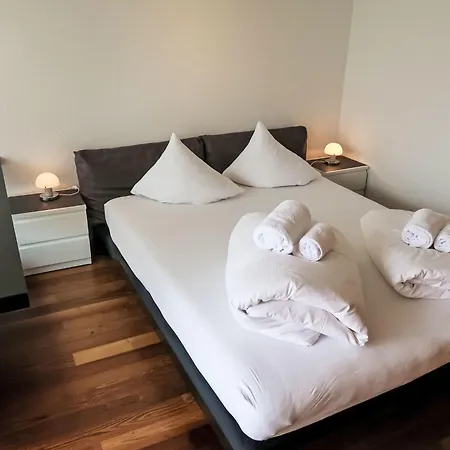 B 096 By Interhome Disentis