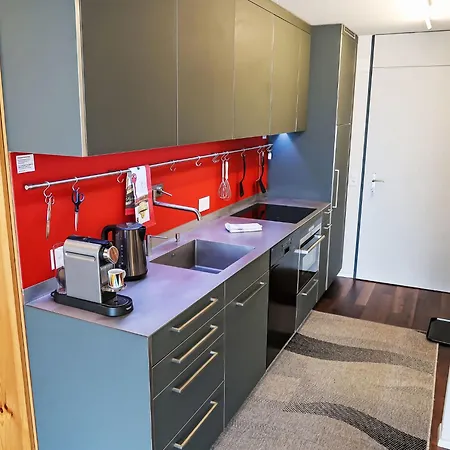 B 096 By Interhome Daire *